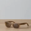 Webster Sunglasses